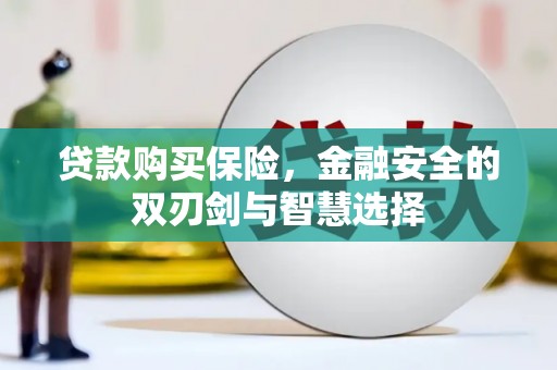 临渭贷款购买保险，金融安全的双刃剑与智慧选择