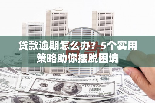 临渭贷款逾期怎么办？5个实用策略助你摆脱困境