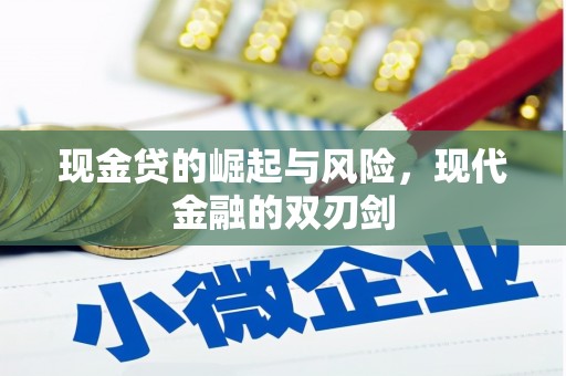 临渭现金贷的崛起与风险，现代金融的双刃剑