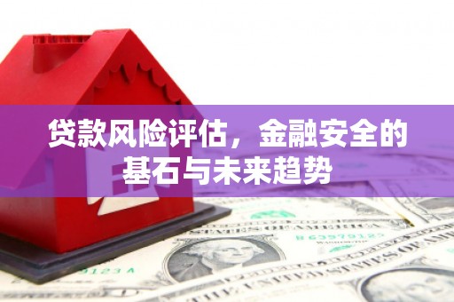 临渭贷款风险评估，金融安全的基石与未来趋势
