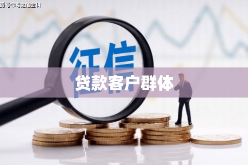 临渭贷款客户群体