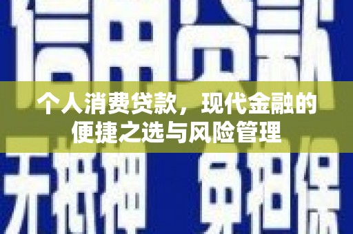 临渭个人消费贷款，现代金融的便捷之选与风险管理