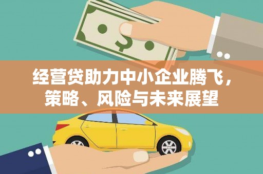 临渭经营贷助力中小企业腾飞，策略、风险与未来展望