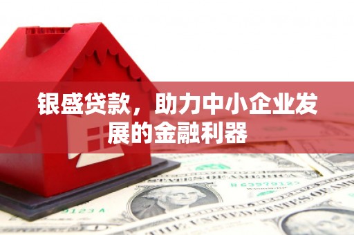 临渭银盛贷款，助力中小企业发展的金融利器