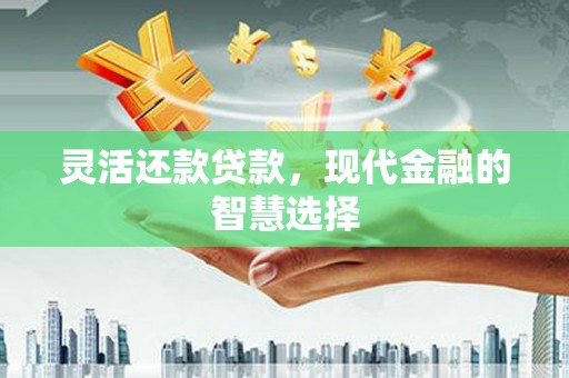 临渭灵活还款贷款，现代金融的智慧选择