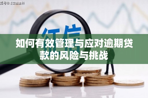 临渭如何有效管理与应对逾期贷款的风险与挑战