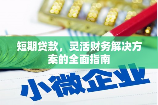临渭短期贷款，灵活财务解决方案的全面指南