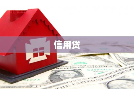 临渭信用贷
