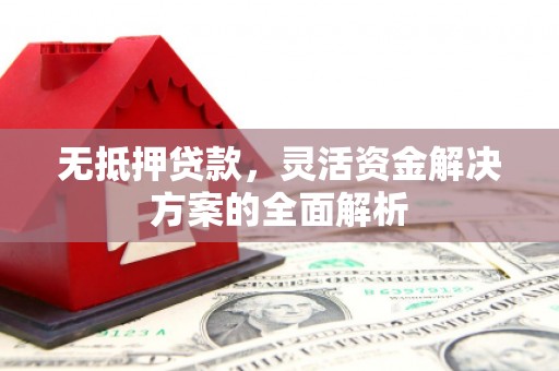 临渭无抵押贷款，灵活资金解决方案的全面解析