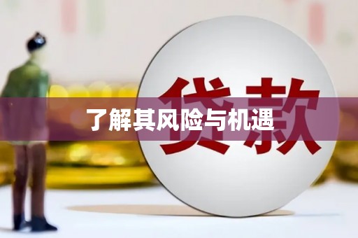 临渭了解其风险与机遇
