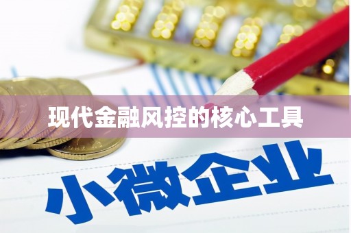 临渭现代金融风控的核心工具