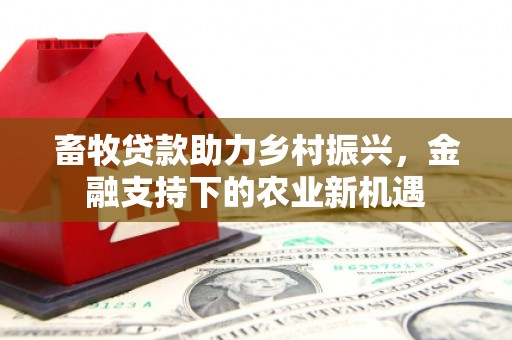 临渭畜牧贷款助力乡村振兴，金融支持下的农业新机遇