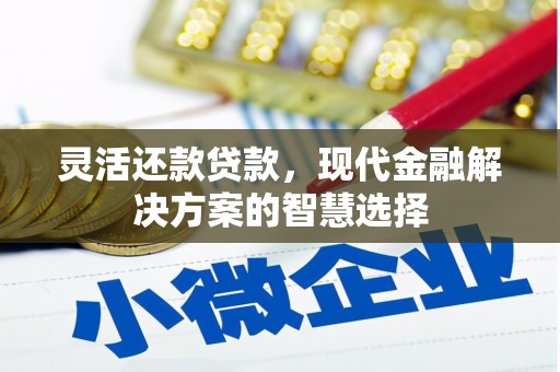 临渭灵活还款贷款，现代金融解决方案的智慧选择