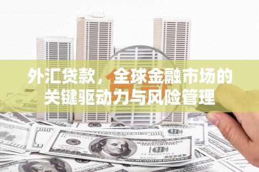 临渭外汇贷款，全球金融市场的关键驱动力与风险管理