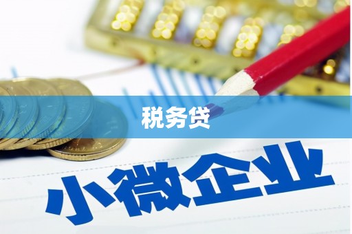 临渭税务贷