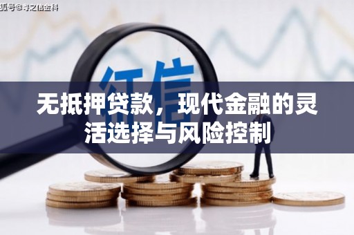 临渭无抵押贷款，现代金融的灵活选择与风险控制