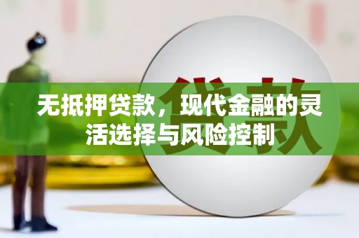 临渭无抵押贷款，现代金融的灵活选择与风险控制