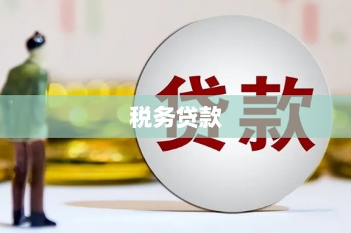临渭税务贷款