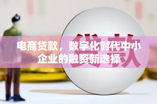 临渭电商贷款，数字化时代中小企业的融资新选择