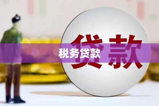 临渭税务贷款