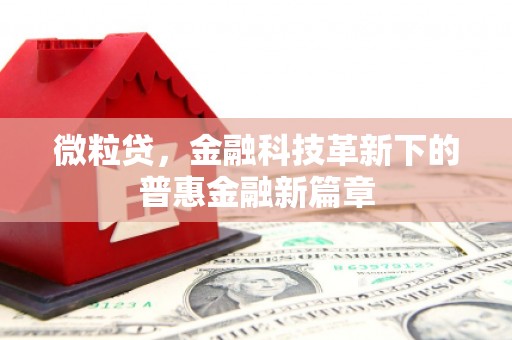 临渭微粒贷，金融科技革新下的普惠金融新篇章