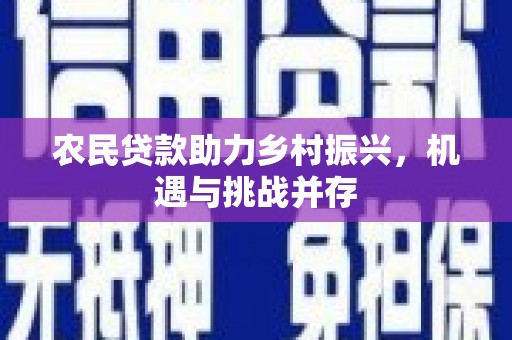 临渭农民贷款助力乡村振兴，机遇与挑战并存