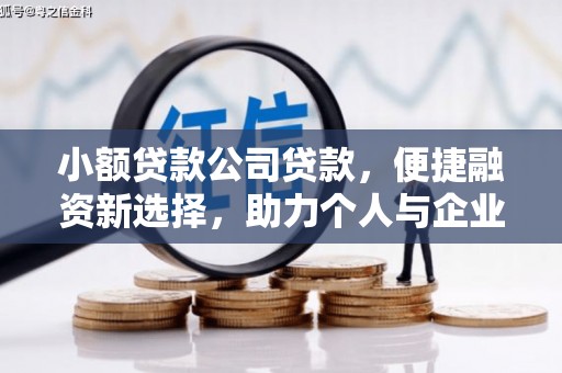 临渭小额贷款公司贷款，便捷融资新选择，助力个人与企业成长