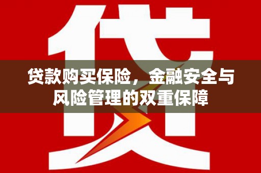 临渭贷款购买保险，金融安全与风险管理的双重保障