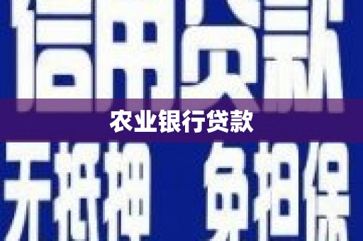 临渭农业银行贷款