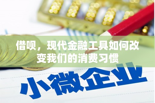 临渭借呗，现代金融工具如何改变我们的消费习惯