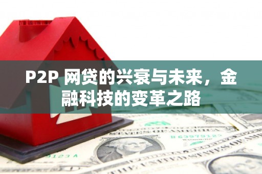 临渭P2P 网贷的兴衰与未来，金融科技的变革之路