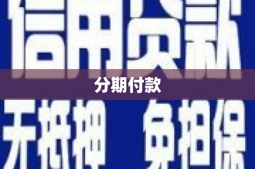 临渭分期付款
