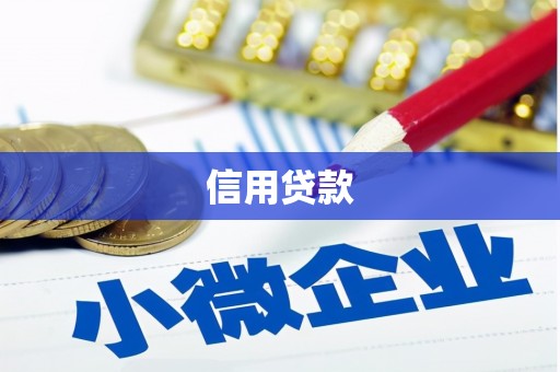 临渭信用贷款