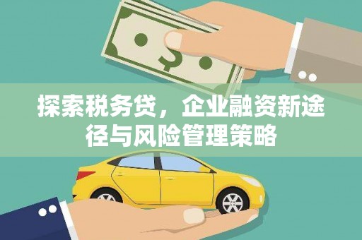 临渭探索税务贷，企业融资新途径与风险管理策略