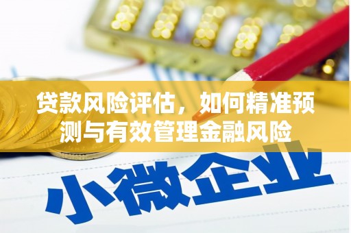 临渭贷款风险评估，如何精准预测与有效管理金融风险
