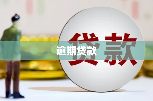 临渭逾期贷款