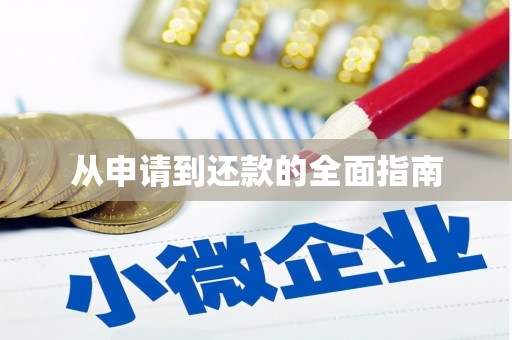 临渭从申请到还款的全面指南
