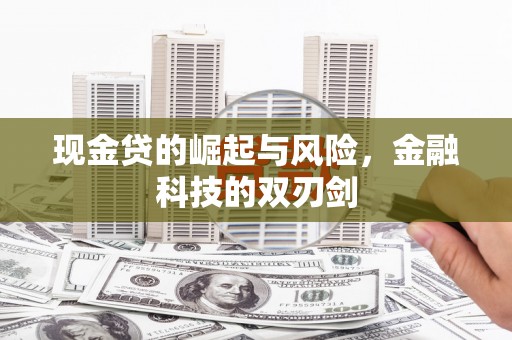 临渭现金贷的崛起与风险，金融科技的双刃剑