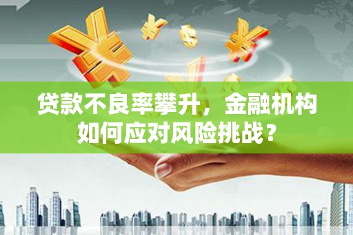 临渭贷款不良率攀升，金融机构如何应对风险挑战？