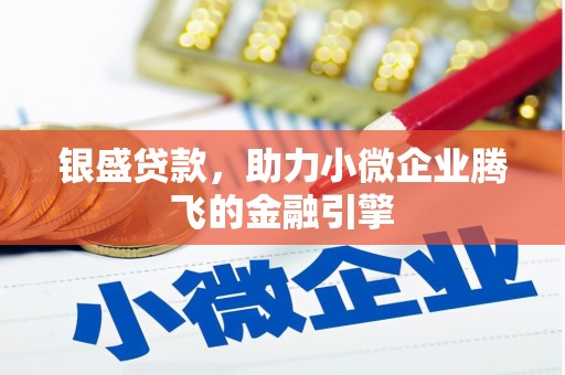 临渭银盛贷款，助力小微企业腾飞的金融引擎