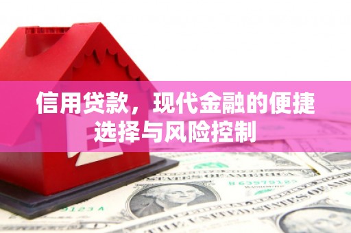 临渭信用贷款，现代金融的便捷选择与风险控制