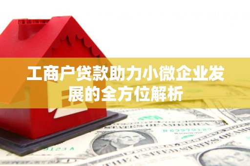临渭工商户贷款助力小微企业发展的全方位解析