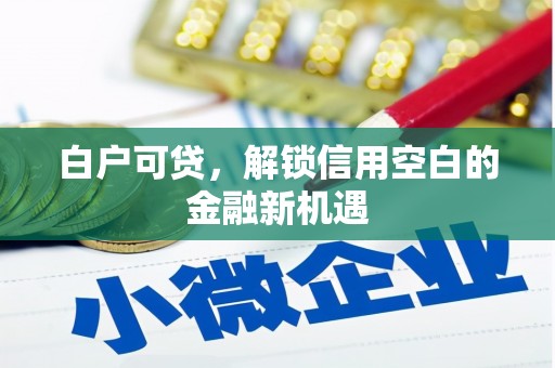 临渭白户可贷，解锁信用空白的金融新机遇