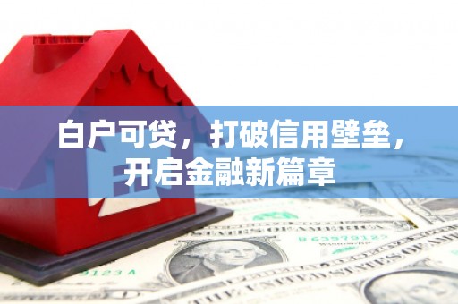 临渭白户可贷，打破信用壁垒，开启金融新篇章