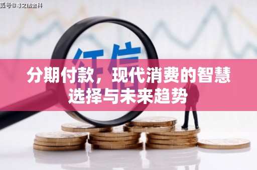 临渭分期付款，现代消费的智慧选择与未来趋势