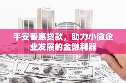 临渭平安普惠贷款，助力小微企业发展的金融利器