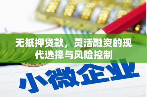临渭无抵押贷款，灵活融资的现代选择与风险控制