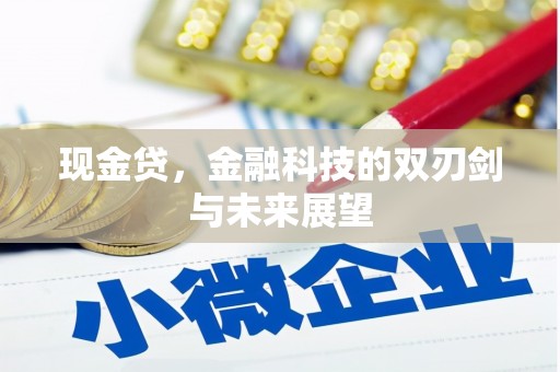 临渭现金贷，金融科技的双刃剑与未来展望