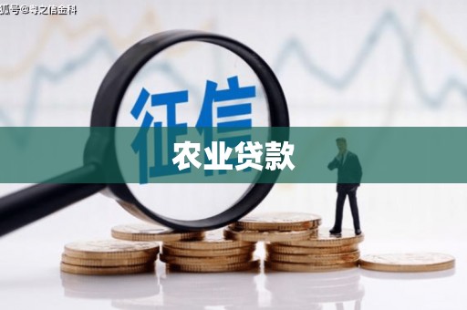 临渭农业贷款