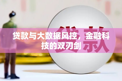 临渭贷款与大数据风控，金融科技的双刃剑